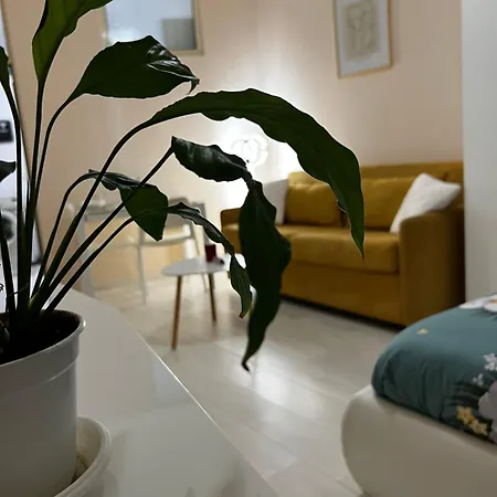 Sindi's Daily * Durrës